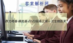 Ⱥģ2023һ