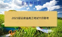 2023ʡ11(905CYN)Ӣ