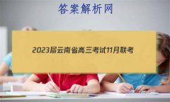 2023ʡ11(905CYN)Ӣ
