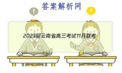 2023ʡ11(905CYN)ۺ