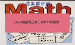202311(904CHLJ)