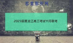 202311(904CHLJ)