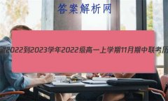 1žA102022-2023ѧ2022һѧ11ʷ