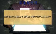 ʡ2023꼶׶ R-PGZX G AH()3