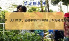 ʡСѧѧ202312¿Ծ()