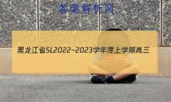 ʡSL2022~2023ѧѧڸ(12)¿Ծ(233334D)Ծ()