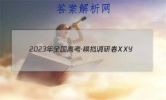 2023ȫ߿ģоXXY()2 