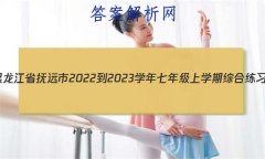 ʡԶ2022-2023ѧ꼶ѧۺϰ()ӢԾ ()