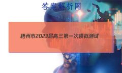 2023һģ(1)