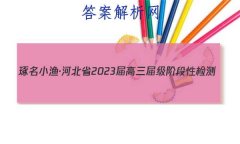 С桤ӱʡ2023켶׶Լ()