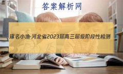 С桤ӱʡ2023켶׶Լ()