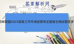 ʦ 2023 ȫ