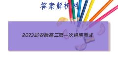 2023찲ոһ׿(2)Ŀۺ