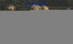 2023ȫ100УABʾ 23G3AB(¸߿)˼-R-ؿ-QGD ˼(ʮ)15